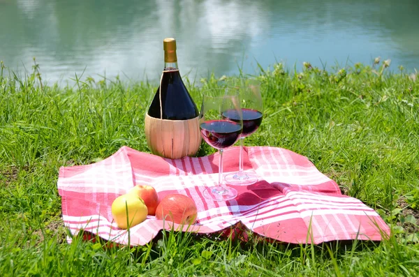 Wijn en fruit geserveerd op een picknick op alpine weide. Zwitserland — Stockfoto