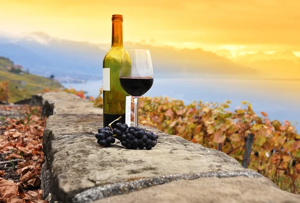 Bicchiere di vino rosso sul vigneto terrazza nella regione Lavaux, Swit — Foto Stock