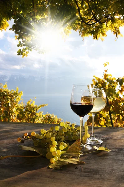 Paar wijnglazen en tros druiven. Lavaux-gebied, switzerl — Stockfoto
