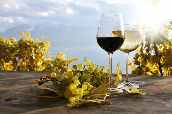 Paire de verres à vin et bouquet de raisins. Région de Lavaux, Suisse — Photo