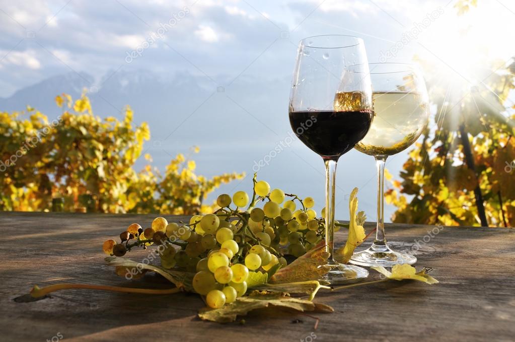 Pair of wineglasses and bunch of grapes. Lavaux region, Switzerland