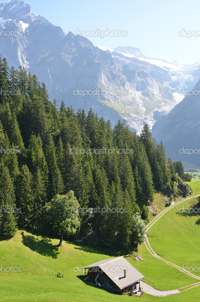Italienerin Jungfrau Zierlicher Doppelter