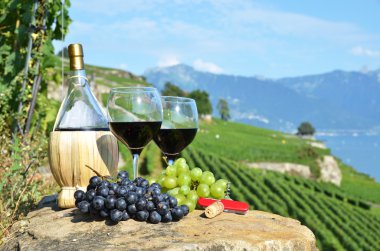 lavaux bölgesinde, İsviçre Teras üzüm şarap