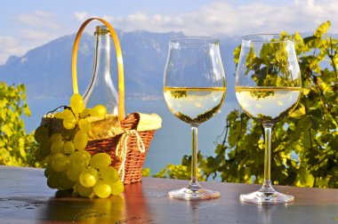 şarap ve üzüm. Lavaux bölge, İsviçre