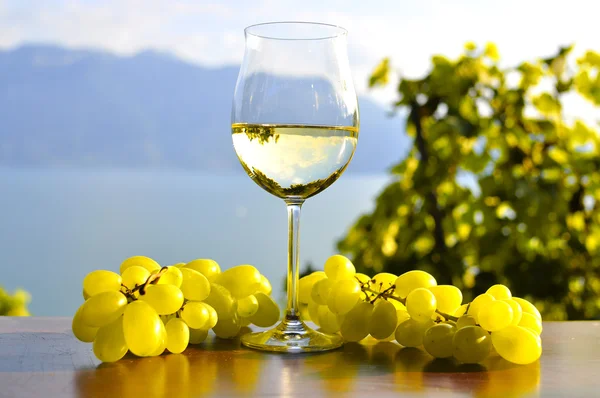 Wijn en druiven. Lavaux-gebied, Zwitserland — Stockfoto