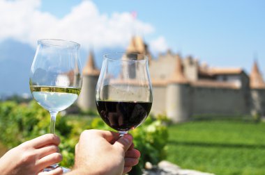 iki eli kadehlerin chateau d'aigle karşı switzerla holding