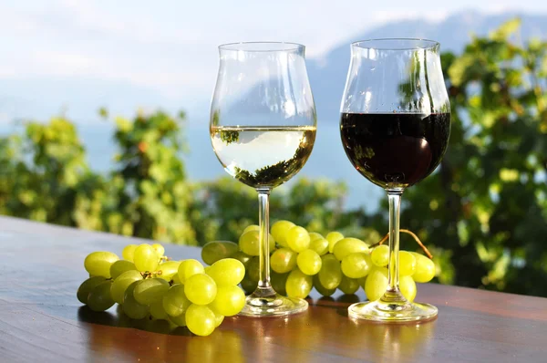 Two wineglasses and grapes against Geneva lake. Lavaux region, S — Stock Photo, Image