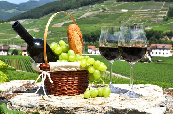 Wine and grapes — Stock Photo, Image