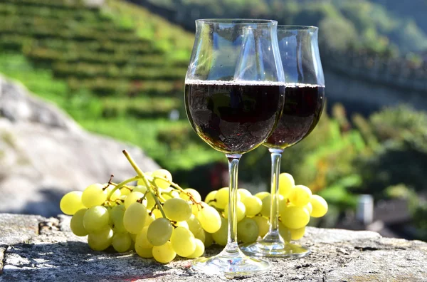 对个酒杯和葡萄。贝林佐纳瑞士 — 图库照片