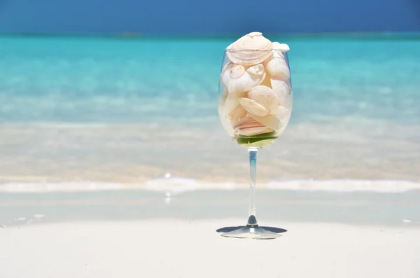完整的贝壳在海滩上的玻璃。大埃克苏马巴哈马 — 图库照片