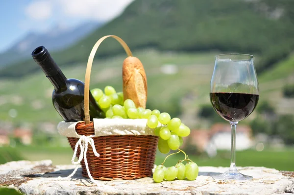 Wine and grapes — Stock Photo, Image