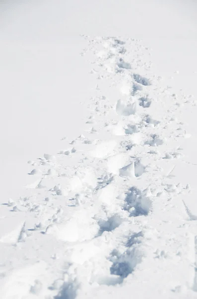 Schritte auf dem Schnee. melchsee-frutt, schweiz — Stockfoto