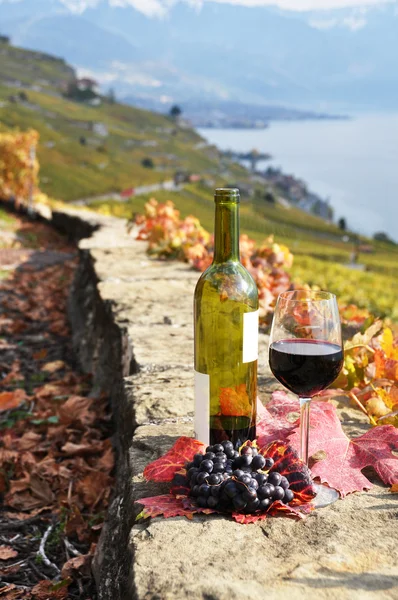 Келих червоного вина на терасі виноградник, у регіоні Lavaux, Swit — стокове фото