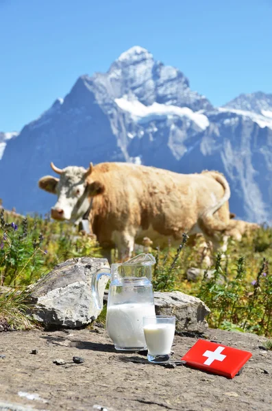 Chocolat suisse et cruche de lait sur la prairie alpine. Suisse — Photo