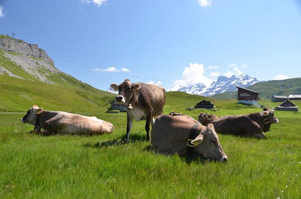 Melchsee-frutt. Schweiz — Stockfoto