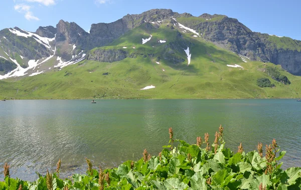 Melchsee frutt. Švýcarsko — Stock fotografie