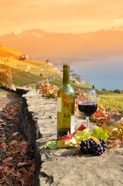 Glas rött vin på vingården terrass i lavaux region, swit — Stockfoto