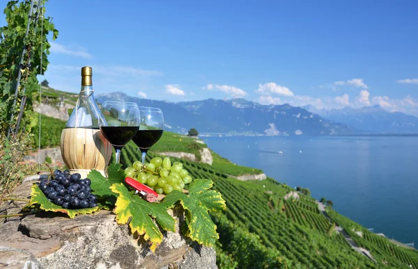 Rode wijn op het terras wijngaard in lavaux-gebied, Zwitserland — Stockfoto