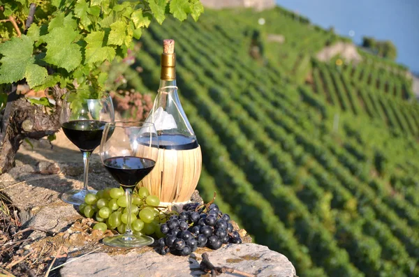 Red wine on the terrace vineyard in Lavaux region, Switzerland — Stock Photo, Image