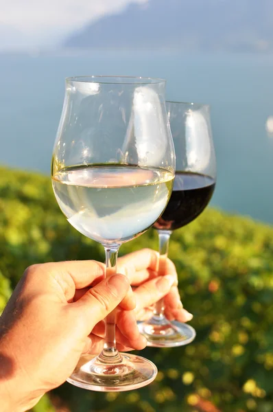 Two hands holding wineglasses against vineyards in Lavaux region — Stock Photo, Image