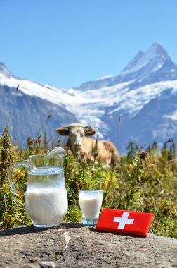 İsviçre çikolata ve Alpin çayır üzerinde süt kabı. switzerlan