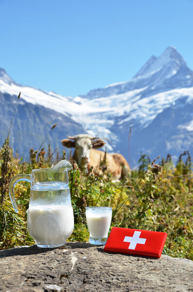 Swiss chocolate and jug of milk on the Alpine meadow. Switzerlan