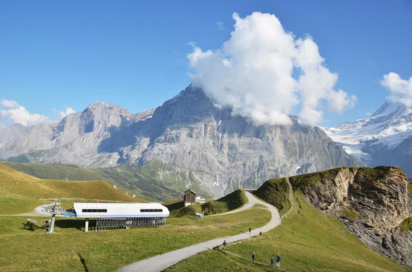 Horské stezky. region Jungfrau, Švýcarsko — Stock fotografie