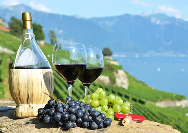 Wein auf der Weinterrasse — Stockfoto