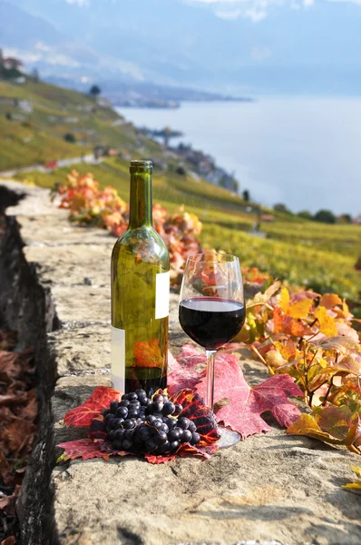 Красное вино на террасе виноградника — стоковое фото