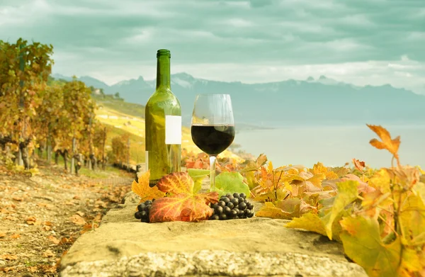 Wine and grapes against Geneva lake. Lavaux region, Switzerland — Stock Photo, Image