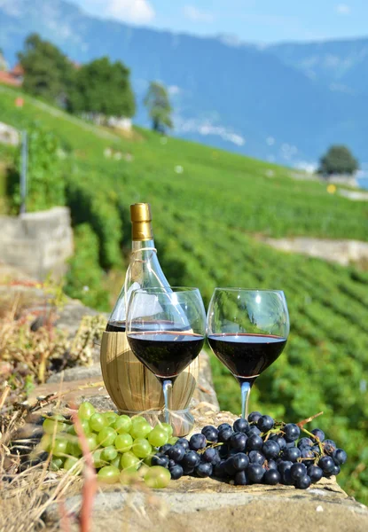 Вино на террасе виноградника в регионе Лаво, Швейцария — стоковое фото