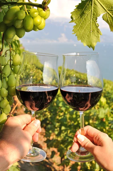 Two hands holding wineglases against vineyards in Lavaux region — Stock Photo, Image