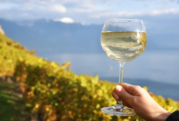 Bicchiere da vino in mano contro i vigneti nella regione di Lavaux, Svizzera — Foto Stock