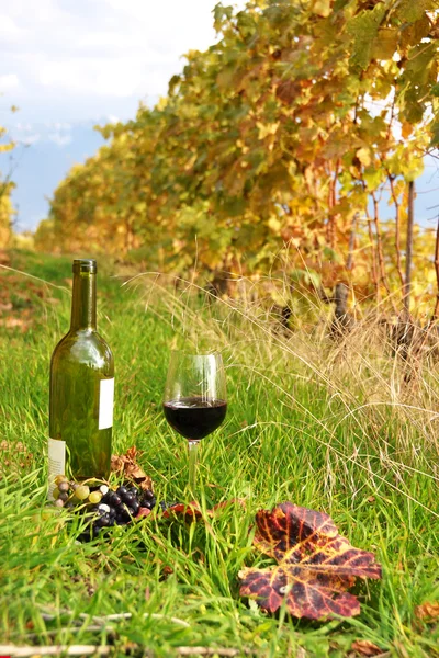 Fles en wijnglas onder wijnbergen in lavaux-gebied, switzerla — Stockfoto