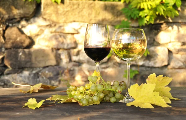 Vino tinto y uvas en la terraza del viñedo en la región de Lavaux — Foto de Stock