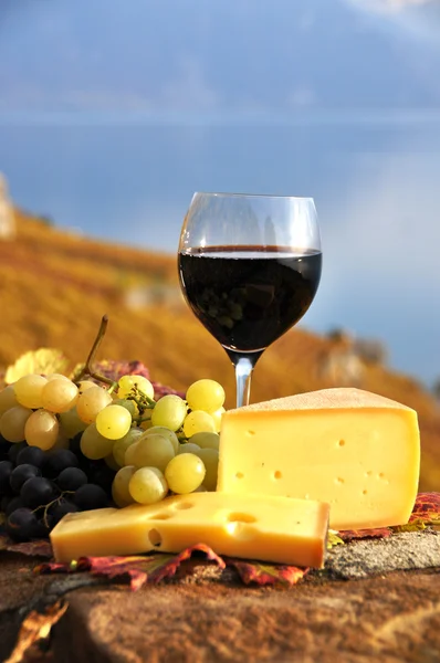 Red wine and grapes on the terrace of vineyard in Lavaux region — Stock Photo, Image