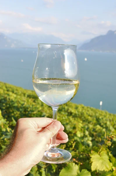 Bodegas en la mano contra los viñedos de la región de Lavaux, Suiza — Foto de Stock