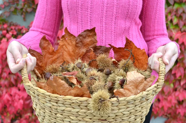 Autumn chestnuts and leaves — Stock Photo, Image