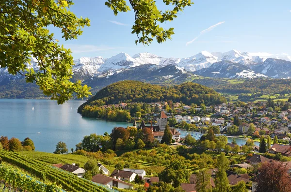 Spiez hrad, Švýcarsko — Stock fotografie