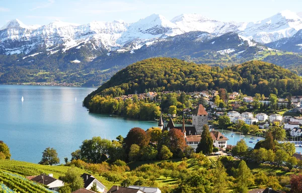 Château de Spiez, Suisse — Photo