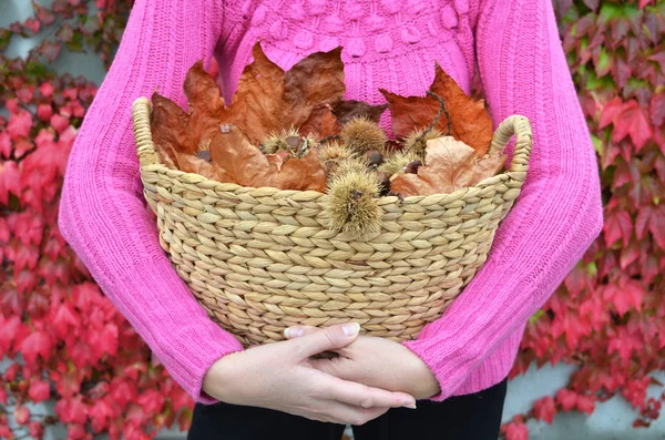 Castanhas e folhas de outono na cesta — Fotografia de Stock
