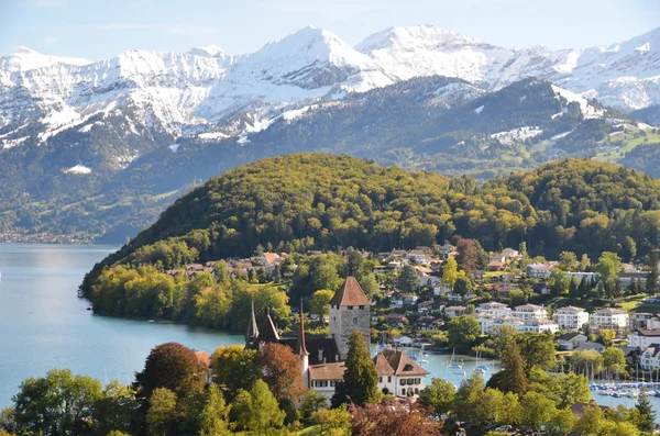 Spiez, สวิตเซอร์แลนด์ — ภาพถ่ายสต็อก