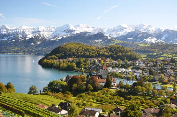 Spiez, Suiza — Foto de Stock