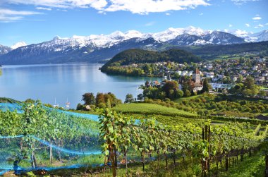 Spiez Kalesi, switerland
