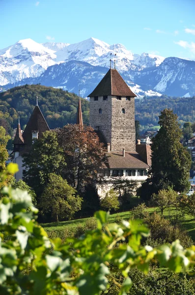 Spiez κάστρο, switerland — Φωτογραφία Αρχείου