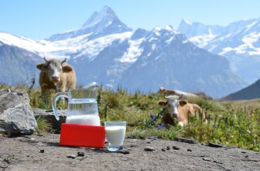 Swiss chocolate and jug of milk on the Alpine meadow clipart