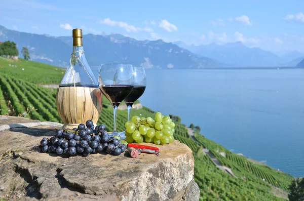 Красное вино и виноград. — стоковое фото