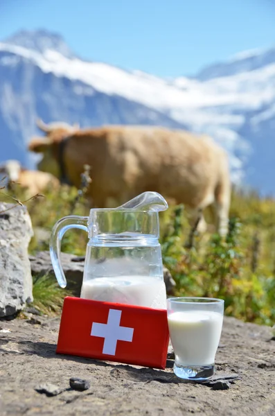 Chocolat suisse et cruche de lait sur la prairie alpine — Photo