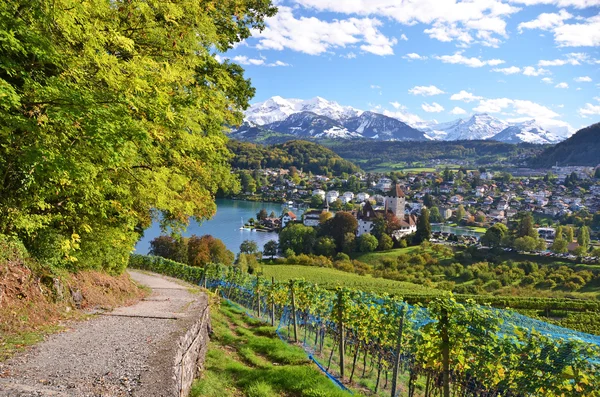 Kasteel van Spiez, Zwitserland — Stockfoto