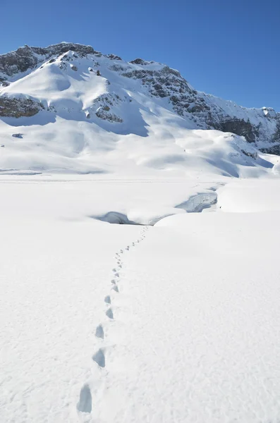Schritte auf dem Schnee. melchsee-frutt, schweiz — Stockfoto